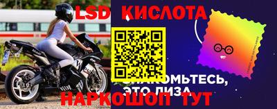 бошки Гусев